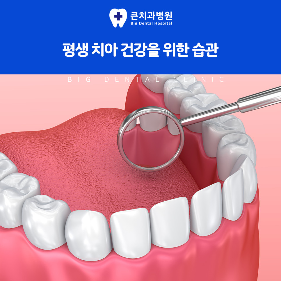 울산북구치과잘하는곳 치아 상실 방치 주의 씹는 힘 저하와 소화기관 부담 위험
