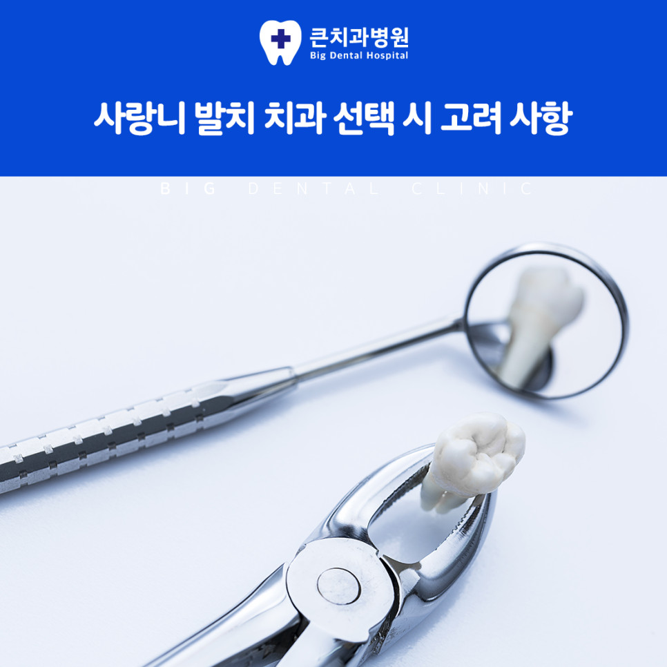 칫솔질을 해도 닦이지 않는 부분이 남기 쉬운 사랑니